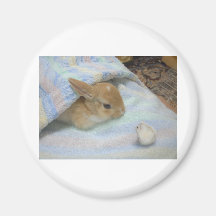 loving rabbits マグネット
