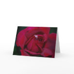 Loving the red rose and meaning greeting cards