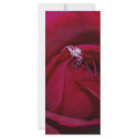 Loving the red rose and meaning rack cards