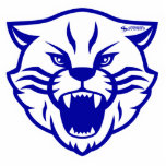 Lovington Wildcats Pin Acrylic Cut Out