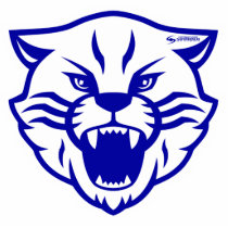 Lovington Wildcats Pin Acrylic Cut Out