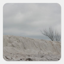Low key photo of beach dune and dead tree sticker