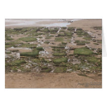 Low Tide 2 Card