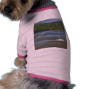 Low Tide At Gweebarra Bridge pet clothing