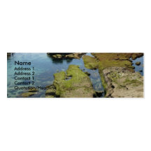 Low Tide Skinny Profile Card Business Card Template