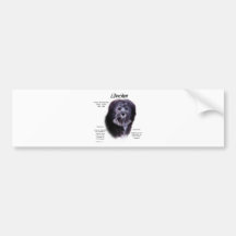 Löwchen History Design Bumper Sticker