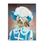 Löwchen-Petit Chien Lion Postcard Nobility Dogs