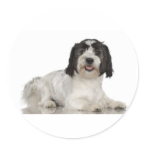 Löwchen Sticker