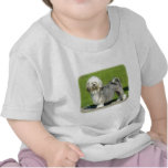 Lowchen t-shirts