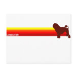 Lowchen With Stripes Postcard