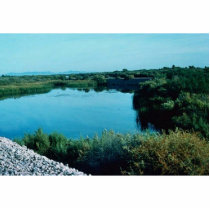 Lower Colorado River Photo Cutout