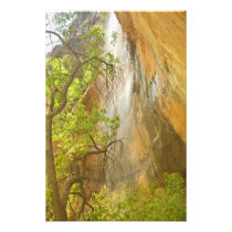 Lower Emerald Pool Waterfall Red rock and Tree