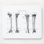 Lower Limb Grey mousepads