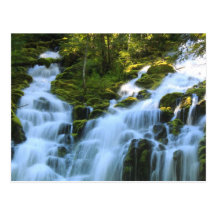 Lower Proxy Falls Oregon Postcard