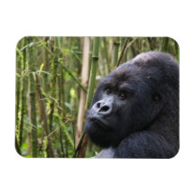 Lowland Gorilla Flexible Magnet