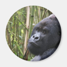 Lowland Gorilla Magnet