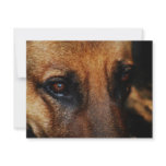 LOYAL FRIEND invitations