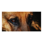 LOYAL FRIEND photo cards