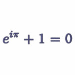 LS Polo Shirt: Euler's identity, small, gray