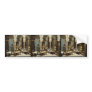Luce Ben Aben, School of Arab Embroidery, Algiers, Bumper Stickers