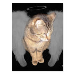 Lucian Angel Post Card