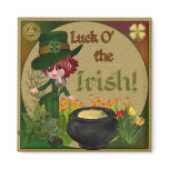 Luck O' the Irish Leprechaun magnets