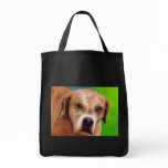 Lucks' Wiley bags