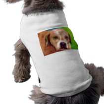 Lucks' Wiley Pet Tee