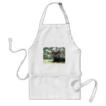 Lucky Black Cat Apron
