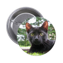Lucky Black Cat Button