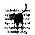 Lucky Black Pussy Tee Shirt..