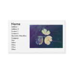 Lucky Charm Business Card business cards