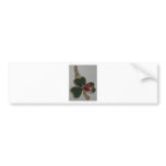lucky clover and ladybird bumper stickers