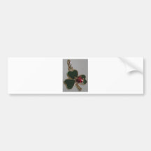 lucky clover and ladybird bumper stickers