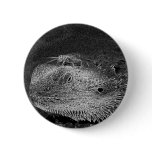 Lucky Cricket Button