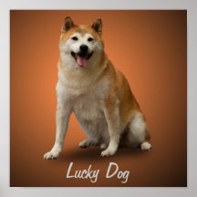 LUCKY DOG PRINT