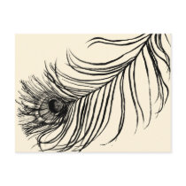 LUCKY FEATHER ★ POSTCARD