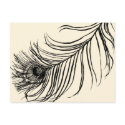 LUCKY FEATHER ★ postcards
