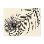LUCKY FEATHER ★ postcards