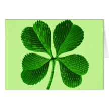 Lucky Four Leaf Clover Greeting Card