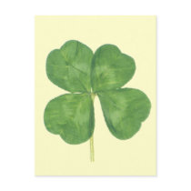 Lucky Four-Leaf Clover Shamrock Post Cards