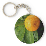 Lucky Orang tangerine Chinese New Year Key Chains
