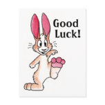 Lucky Rabbit Postcard