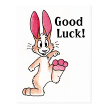 Lucky Rabbit Postcard