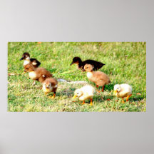 Lucky Seven Print