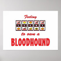 Lucky to Own a Bloodhound Fun Dog Design Poster
