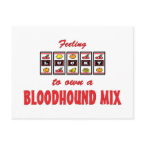 Lucky to Own a Bloodhound Mix Fun Dog Design Post Card