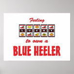 Lucky to Own a Blue Heeler Fun Dog Design Poster