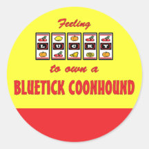Lucky to Own a Bluetick Coonhound Fun Dog Design Sticker