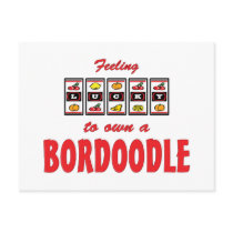 Lucky to Own a Bordoodle Fun Dog Design Postcards
